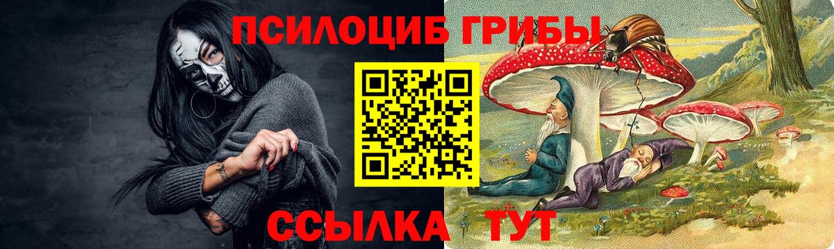 Галлюциногенные грибы Psilocybine cubensis Чебаркуль