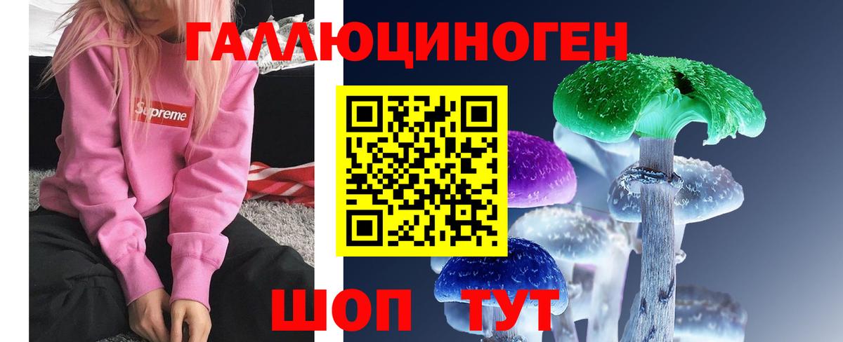 Псилоцибиновые грибы Psilocybine cubensis  Галлюциногенные грибы GOLDEN TEACHER  Вход с VPN  Чебаркуль 